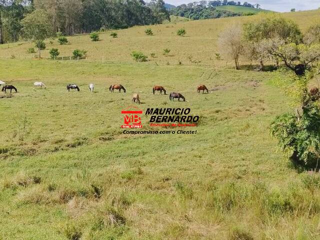 Fazenda para Venda em Socorro - 4