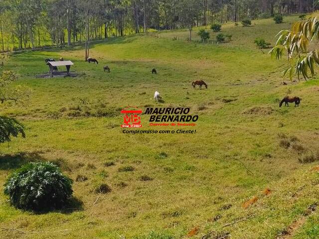 Fazenda para Venda em Socorro - 5