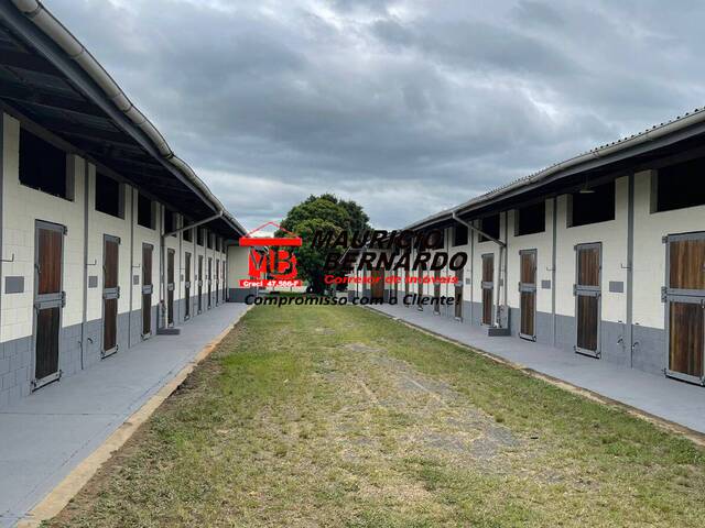 Haras para Venda em Porto Feliz - 5