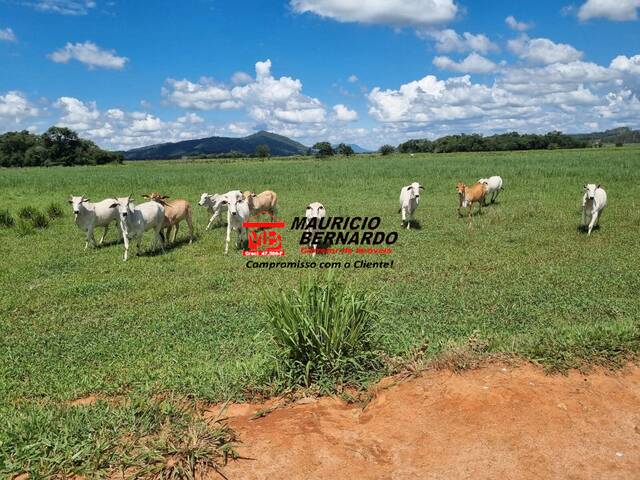 Fazenda para Venda em Pouso Alegre - 5