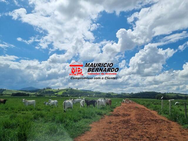 Fazenda para Venda em Pouso Alegre - 4