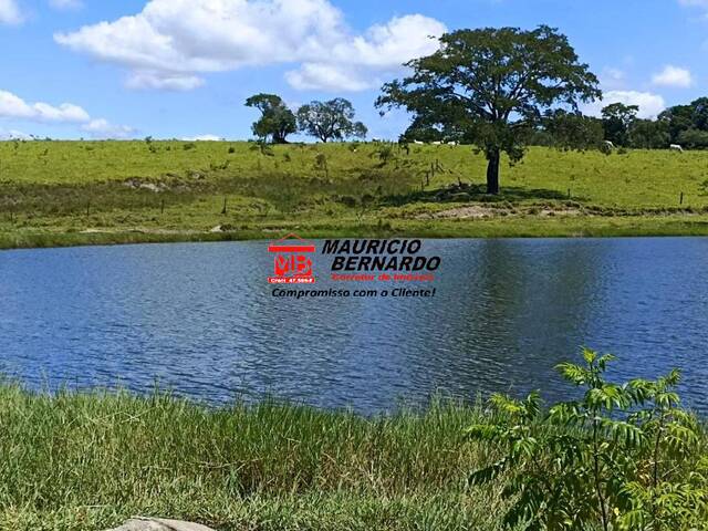 Fazenda para Venda em Bofete - 5