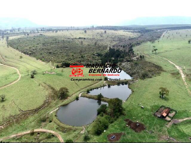 Fazenda para Venda em Bofete - 4