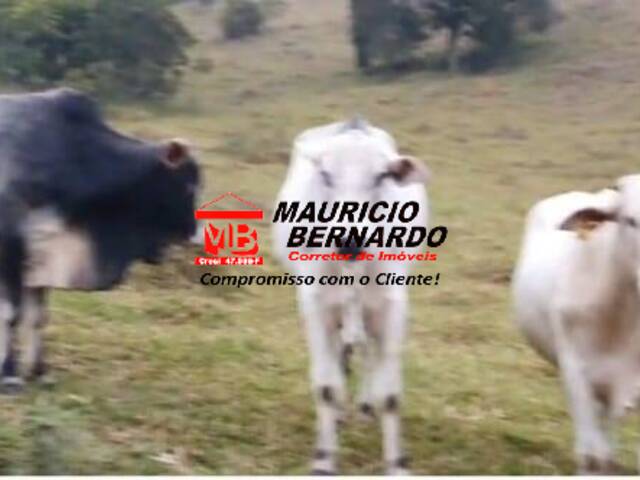 Fazenda para Venda em Paraibuna - 5