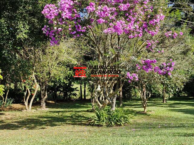 #2094 - Haras para Venda em Morungaba - SP - 3