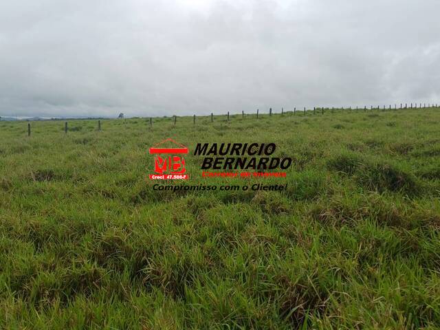 Sítio para Venda em Guaratinguetá - 5