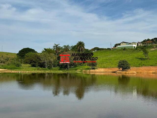 Haras para Venda em Moji Mirim - 4