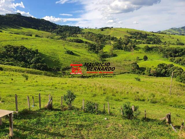 Fazenda para Venda em Munhoz - 4