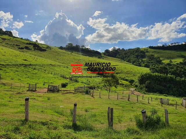Fazenda para Venda em Munhoz - 5