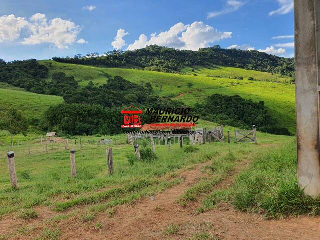 #2119 - Fazenda para Venda em Munhoz - MG - 3