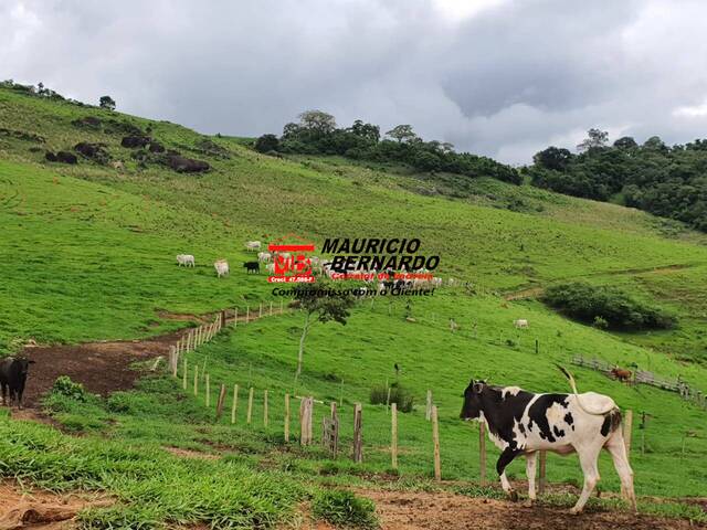 #2119 - Fazenda para Venda em Munhoz - MG - 2