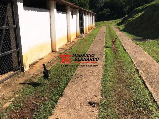 Sítio para Venda em Atibaia - 5