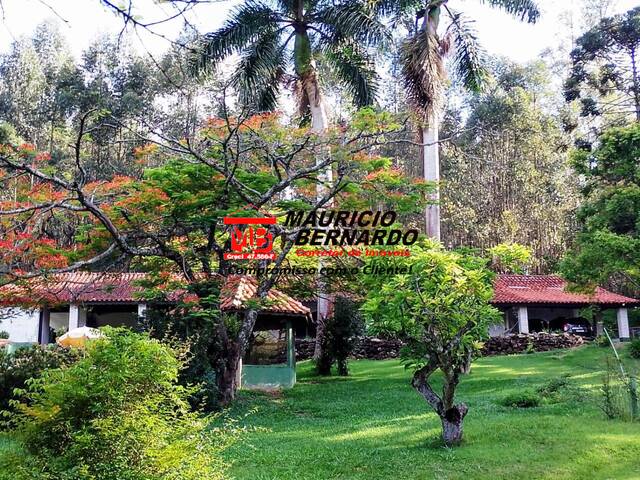 Sítio para Venda em Pinhalzinho - 4