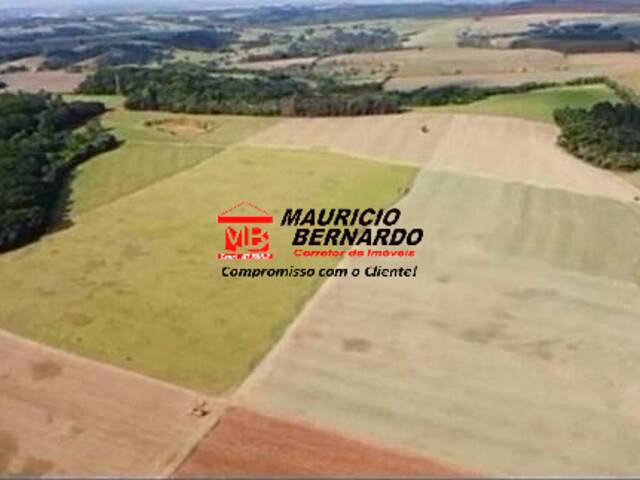 Fazenda para Venda em Elias Fausto - 5