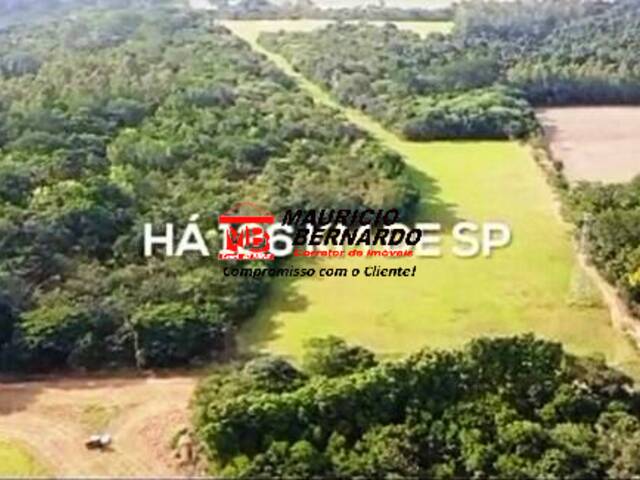 #2126 - Fazenda para Venda em Elias Fausto - SP - 3