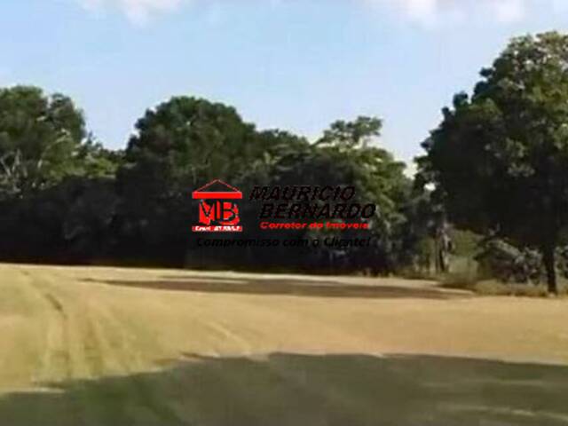 Fazenda para Venda em Elias Fausto - 4