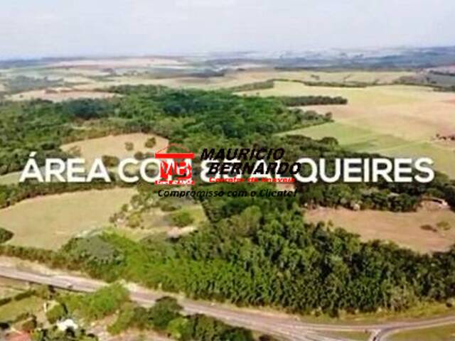 #2126 - Fazenda para Venda em Elias Fausto - SP - 1
