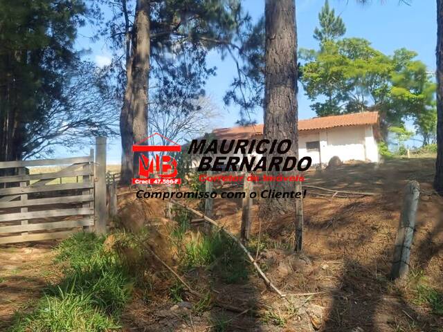 Sítio para Venda em Atibaia - 4