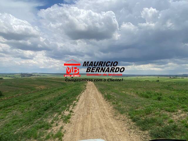 #2131 - Fazenda para Venda em Elias Fausto - SP - 1