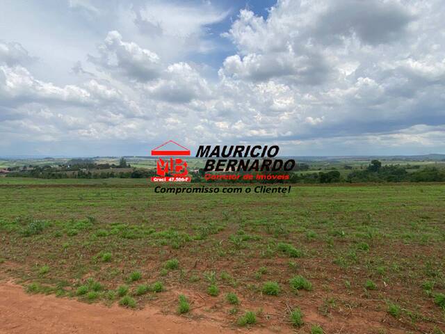 #2131 - Fazenda para Venda em Elias Fausto - SP - 3