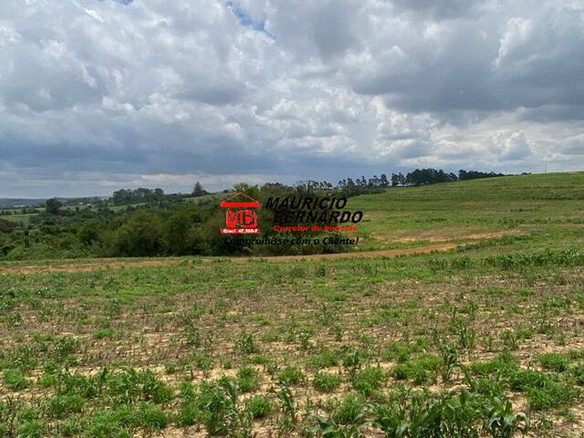 Fazenda para Venda em Elias Fausto - 5
