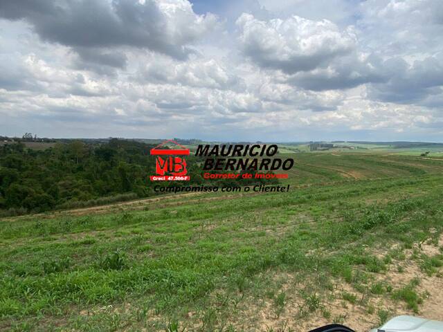 #2131 - Fazenda para Venda em Elias Fausto - SP - 2