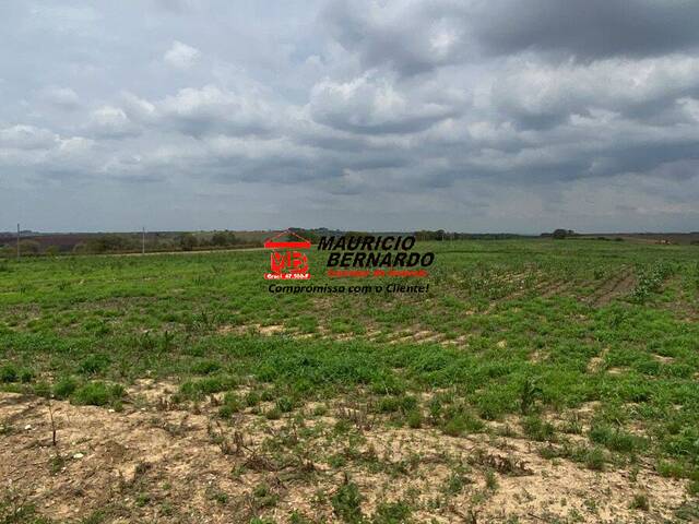 Fazenda para Venda em Elias Fausto - 4