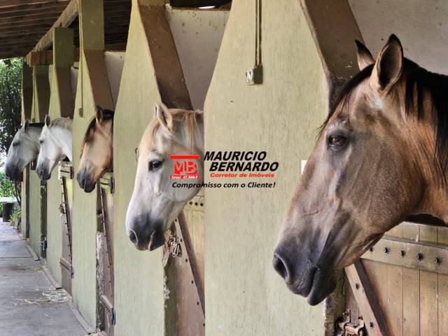 #2136 - Haras para Venda em Atibaia - SP - 1