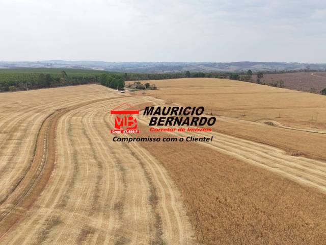 Fazenda para Venda em Itapetininga - 5