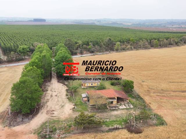 #2137 - Fazenda para Venda em Itapetininga - SP - 2