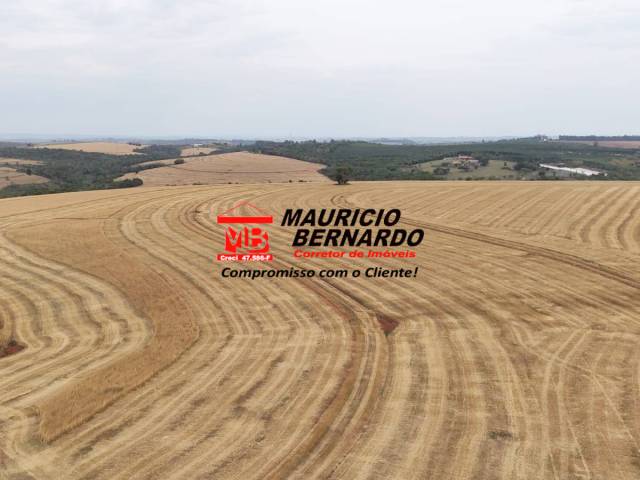 Fazenda para Venda em Itapetininga - 4
