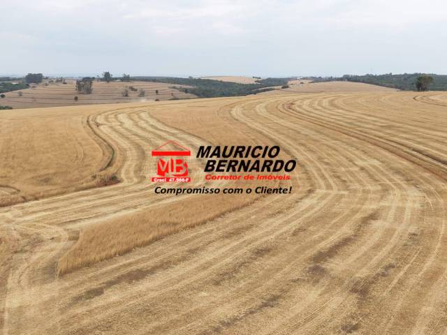 #2137 - Fazenda para Venda em Itapetininga - SP - 3