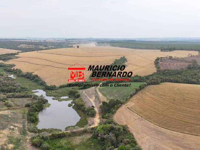 #2137 - Fazenda para Venda em Itapetininga - SP - 1
