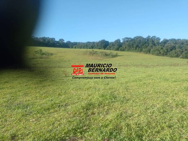 Sítio para Venda em Bragança Paulista - 4