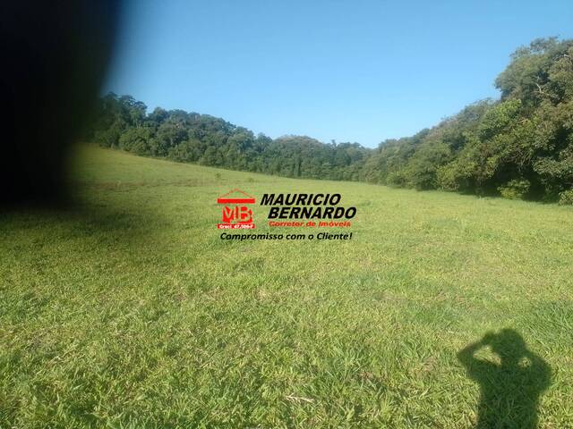 Sítio para Venda em Bragança Paulista - 5