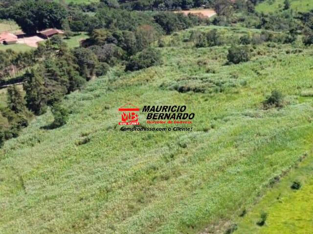 #2148 - Fazenda para Venda em Amparo - SP - 2