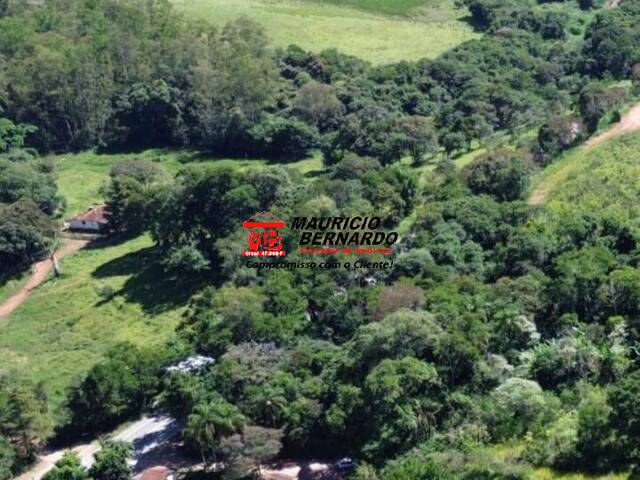 #2148 - Fazenda para Venda em Amparo - SP - 3