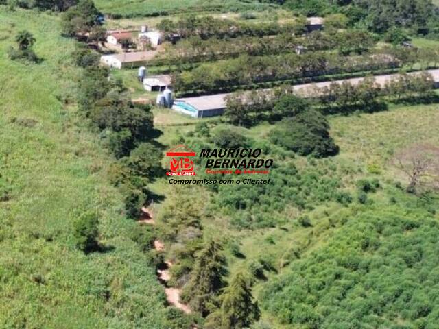 #2148 - Fazenda para Venda em Amparo - SP