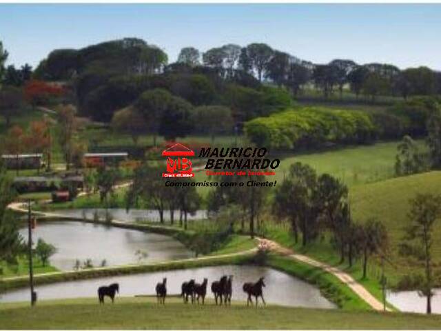 #2151 - Fazenda para Venda em Amparo - SP - 1