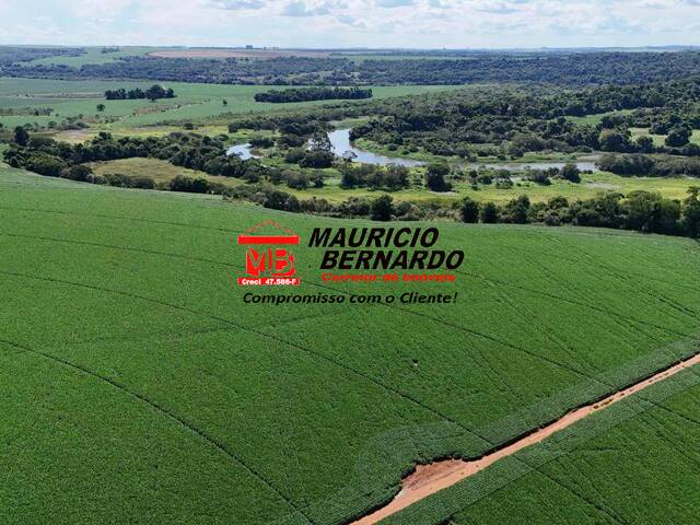#2152 - Fazenda para Venda em Avaré - SP - 1