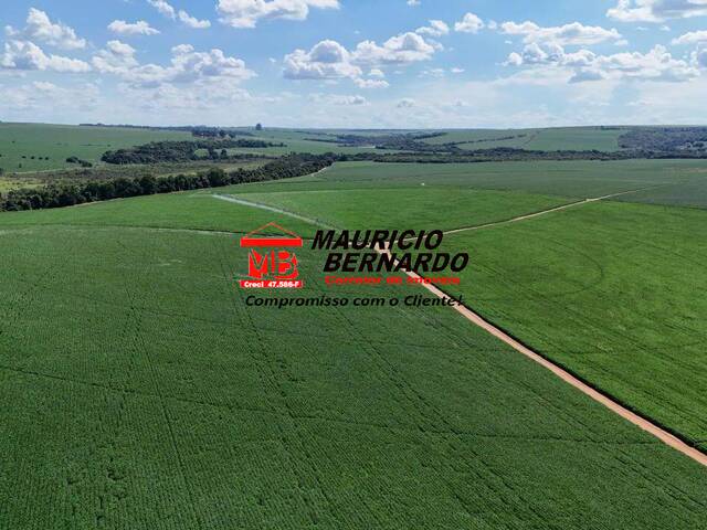 Fazenda para Venda em Avaré - 5