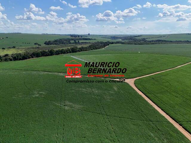#2152 - Fazenda para Venda em Avaré - SP - 2