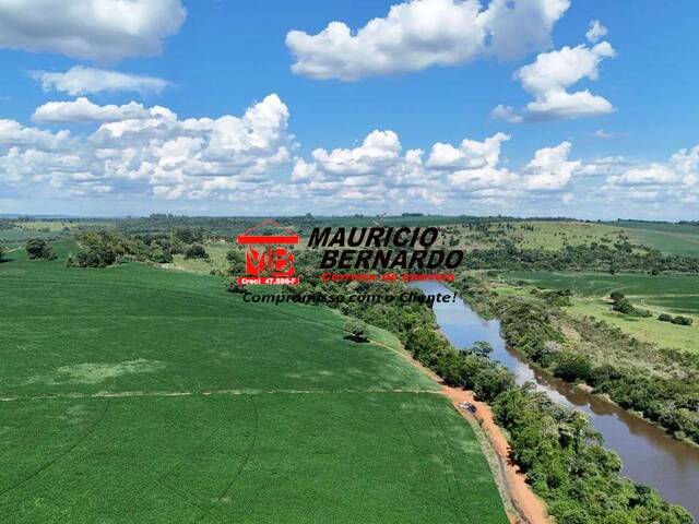 #2152 - Fazenda para Venda em Avaré - SP - 3