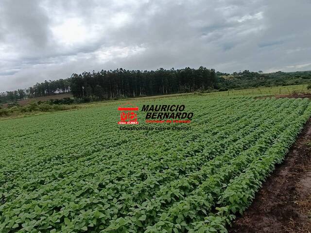 Fazenda para Venda em Tatuí - 4