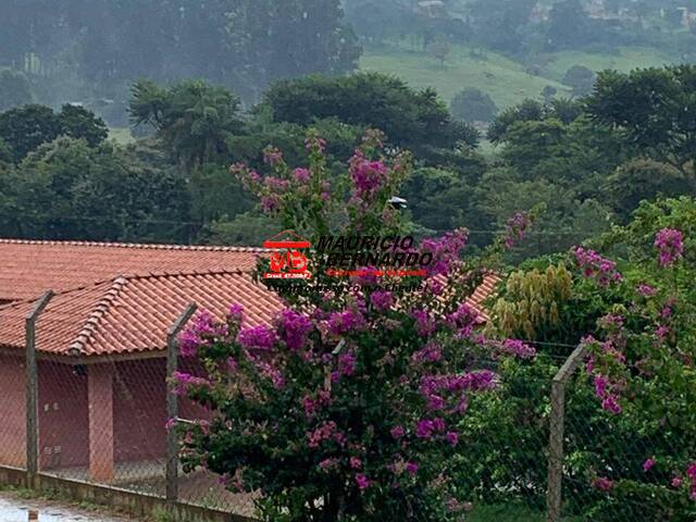 Sítio para Venda em Jaguariúna - 4