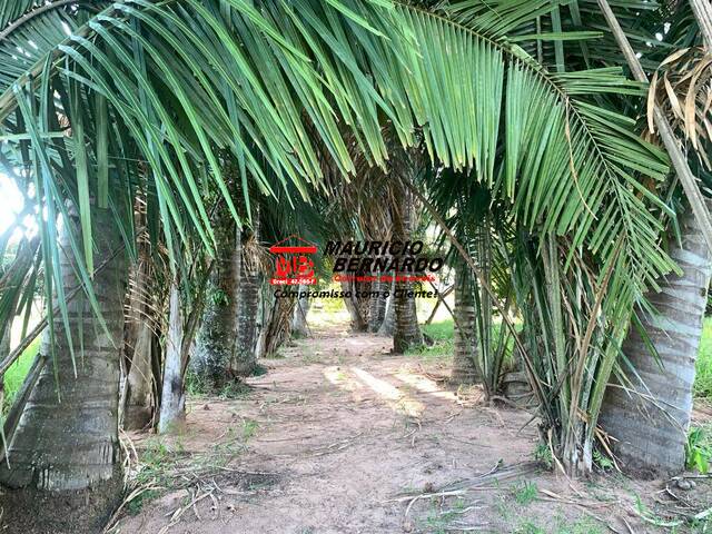 Fazenda para Venda em Marília - 4