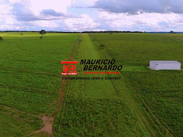 #2157 - Fazenda para Venda em Marília - SP - 2