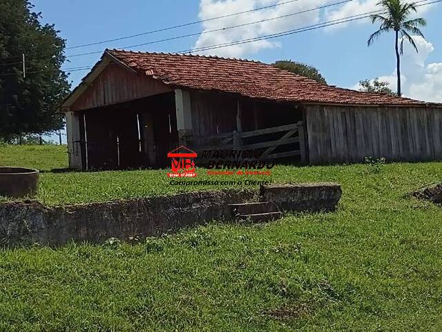 Fazenda para Venda em Vera Cruz - 2