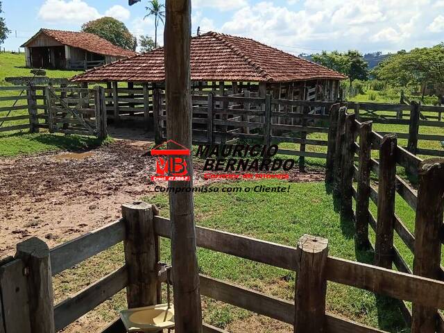Fazenda para Venda em Vera Cruz - 4