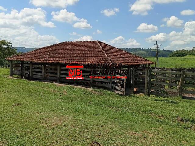 Fazenda para Venda em Vera Cruz - 5